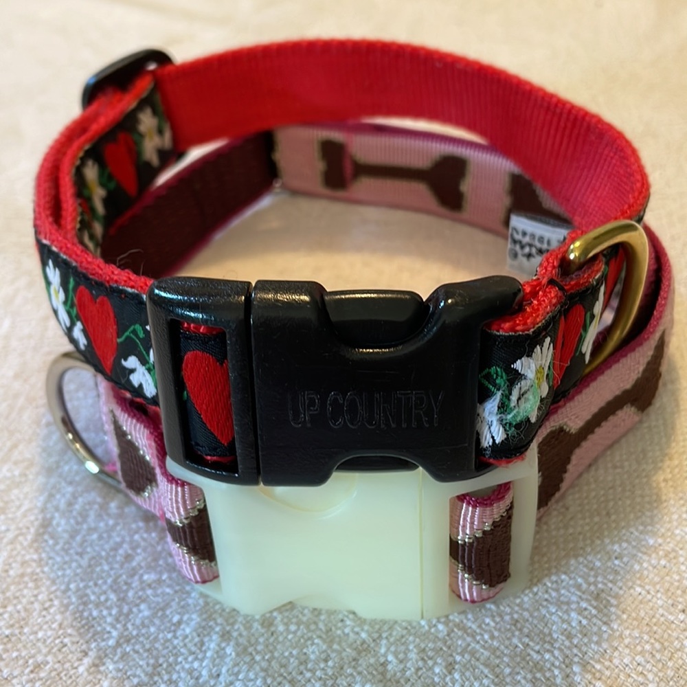 Dog Collars 🐶♥️